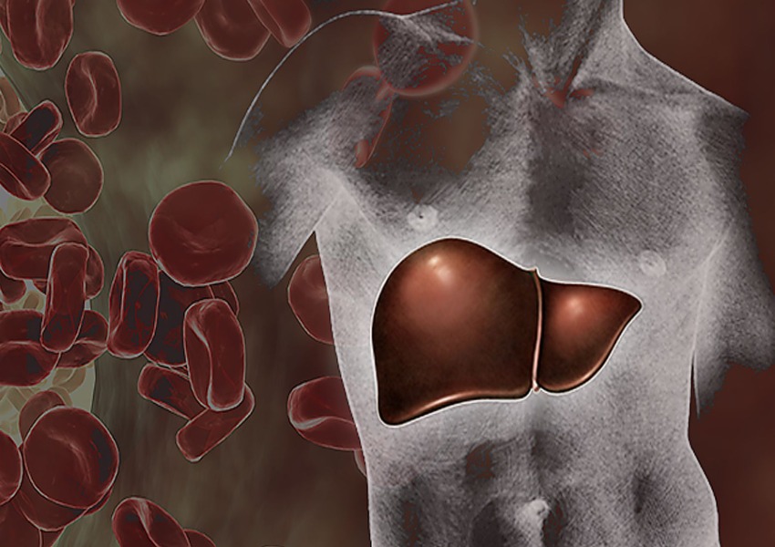 Liver Warning Signs: Liver Detox Needed