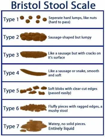 A chart of different types of sausage.