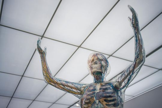 A skeleton with arms outstretched in an office.