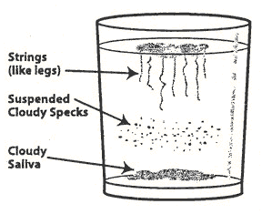 A drawing of a glass with water inside